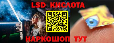 PSILOCYBIN Кунгур